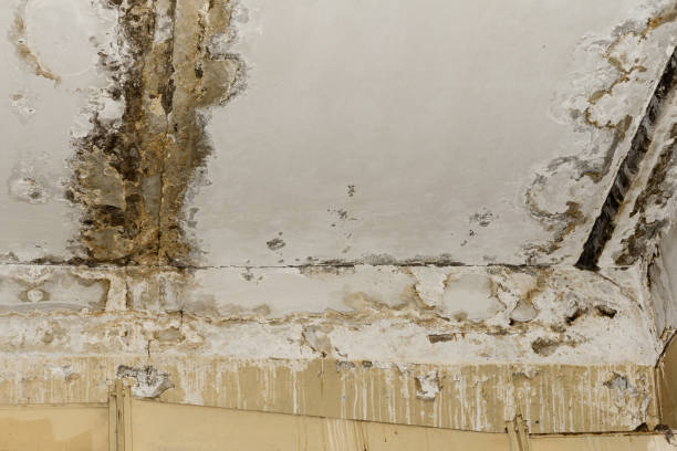 Best Commercial water damage restoration  in Enterprise, WV